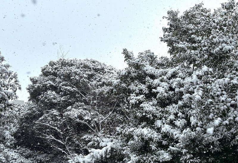 【 A Great Lagacy:COUNTRY SUITING 】